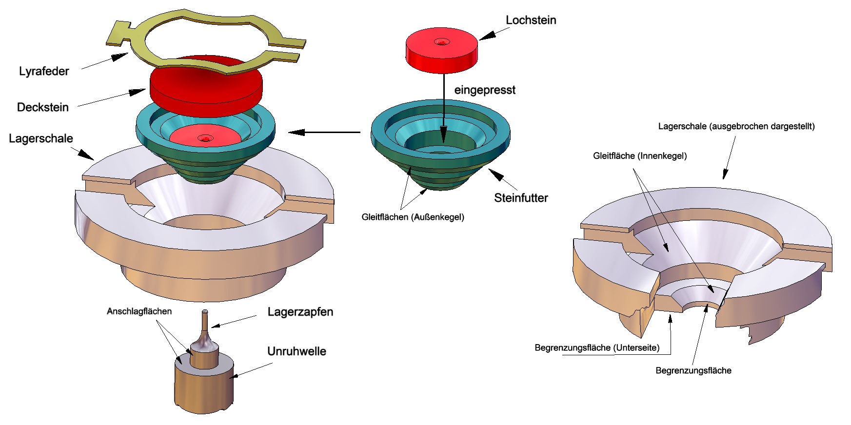 Incabloc Anatomie
